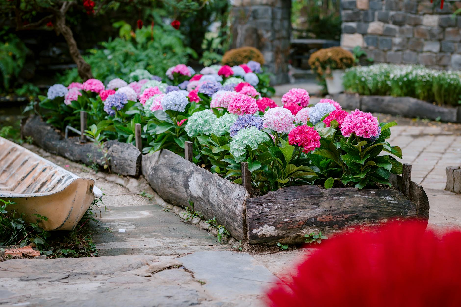 Cottage garden flower bed.