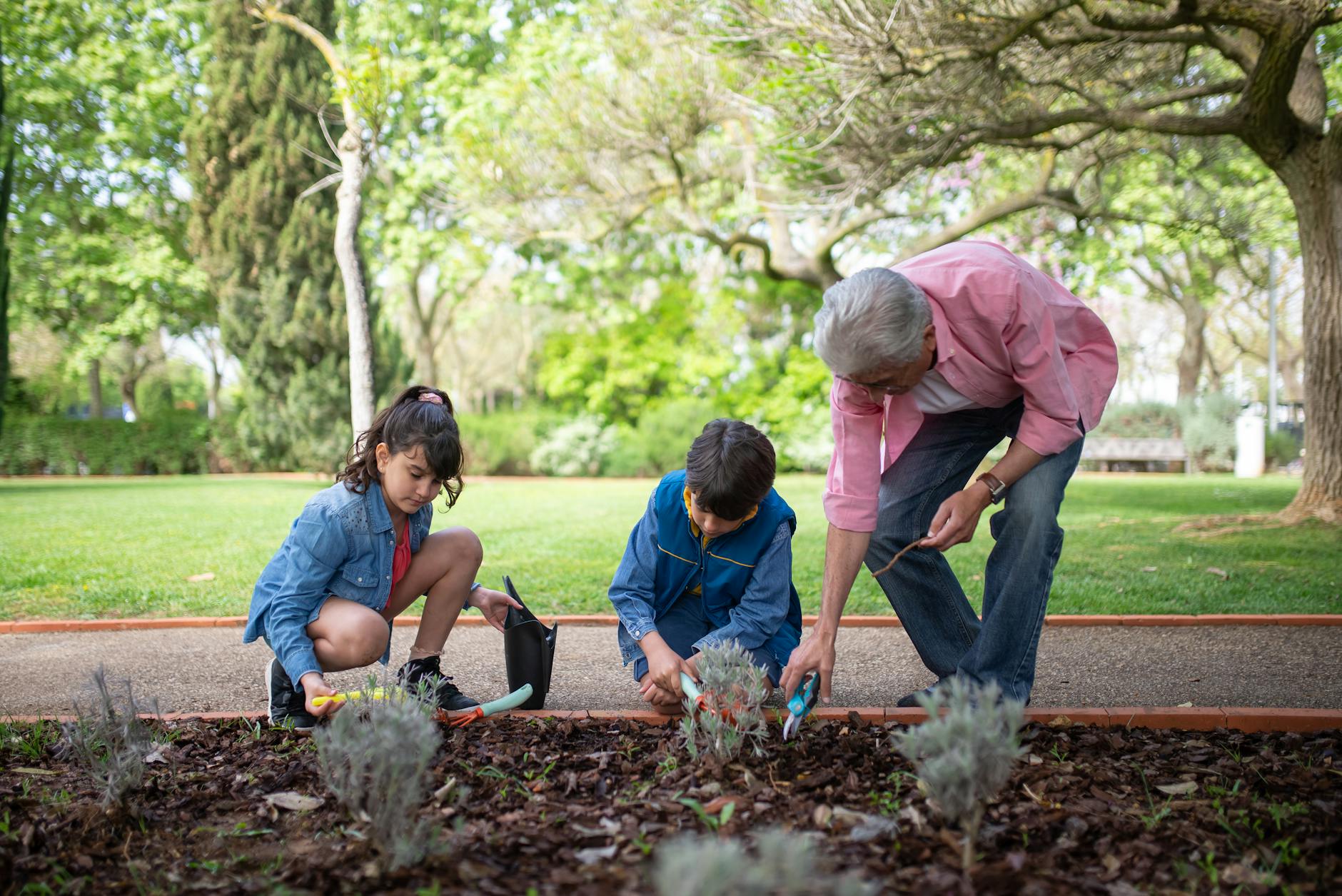 Older gardener showing a child how to plant.